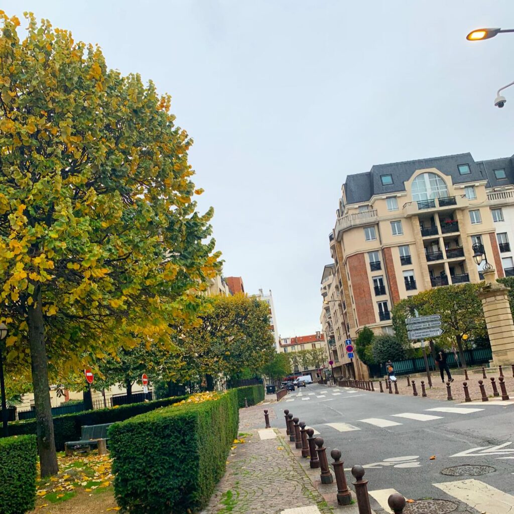 Mission du jour : problème de disparition de la fenêtre de Google Chrome à Charenton le poo t (94)