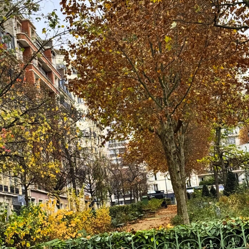 Mission du jour : Formation à l’utilisation d’un nouvel ordinateur à Paris 15e (75015) IleDeFrance ReductiondImpots UrgenceOrdinateur Logapole